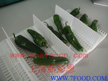 食品專用輸送帶_產(chǎn)品(價(jià)格、廠家)信息_中國食品科技網(wǎng)